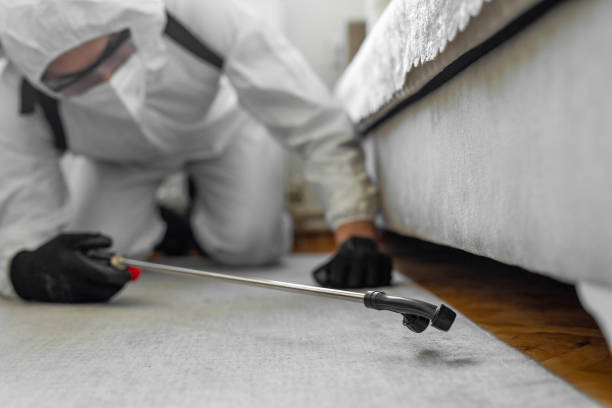 Professional Cockroach Control technician working in Egan, LA